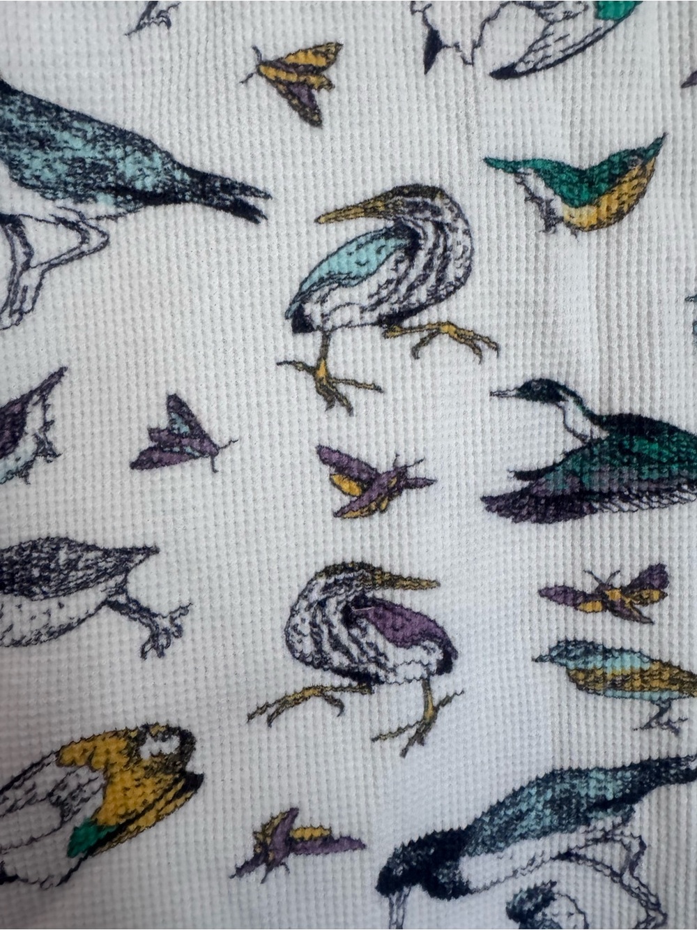 Parks Project Bird Print Waffle Knit Long Sleeve Shirt Womens Small Nature - Picture 3 of 6